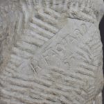 1566497681-3.jpg