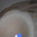 1590574221-2.jpg