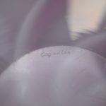 1591345219-2.jpg