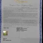 452505557-4.jpg