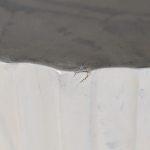1062823744-6.jpg
