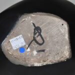 1685540465-7.jpg