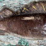 530959403-1.jpg