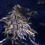 1083914156-2.jpg