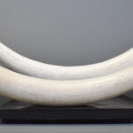 1718109835-4.jpg