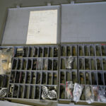 1655375614-12.jpg