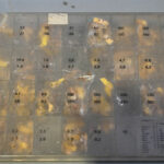 1655375614-4.jpg