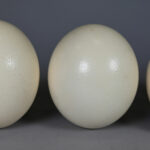172527653-1.jpg