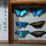 1737120480-3.jpg