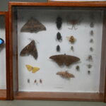1737120480-4.jpg