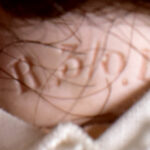 851657158-24.jpg