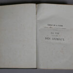 121658730-3.jpg