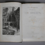 121658730-5.jpg
