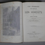 121658730-6.jpg
