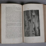 121658730-7.jpg