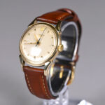 176029819-6.jpg