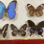 362912890-1.jpg