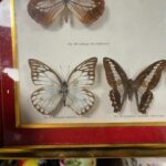 362912890-12.jpg