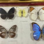 362912890-2.jpg