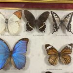 362912890-7.jpg