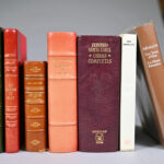 50077650-3.jpg