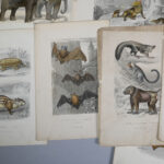 1176024543-2.jpg