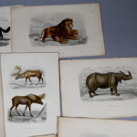 1176024543-6.jpg