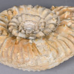 1329298749-4.jpg