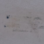 164051217-5.jpg