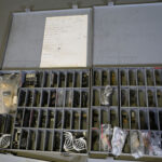 1655375614-12.jpg
