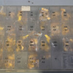 1655375614-4.jpg