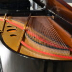 1744622445-15.jpg