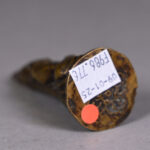1869876297-6.jpg