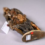 34187278-5.jpg