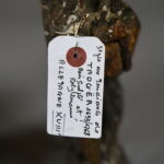 34187278-6.jpg
