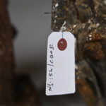 34187278-7.jpg