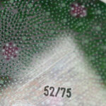 505811840-4.jpg