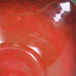 51248902-6.jpg
