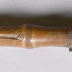 545060904-5.jpg