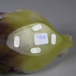 748208733-8.jpg