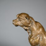 819159198-1.jpg