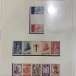 1097597511-1.jpg