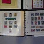 1097597511-9.jpg