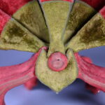 1291618309-3.jpg