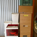 1739367841-5.jpg