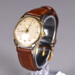 176029819-6.jpg