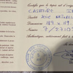 1861457631-4.jpg