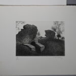 2133516437-3.jpg