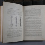 2147281664-4.jpg