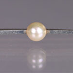 486216692-1.jpg
